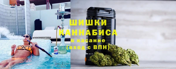 индика Елабуга