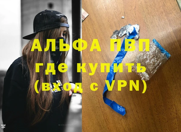 индика Елабуга