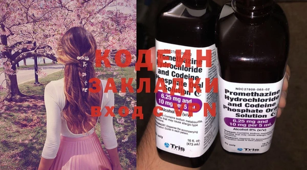 индика Елабуга