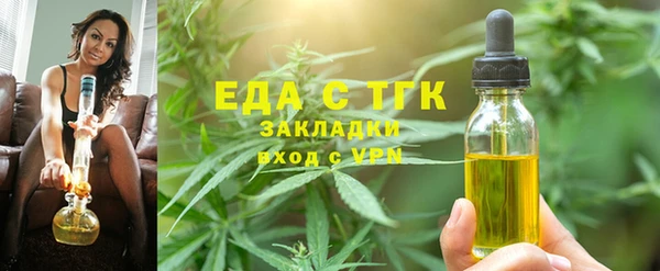индика Елабуга