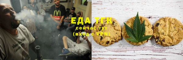 индика Елабуга