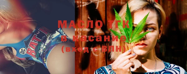 индика Елабуга