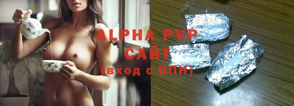 индика Елабуга