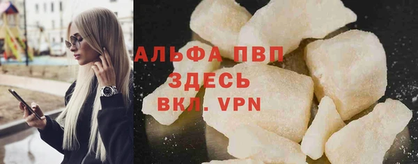 индика Елабуга