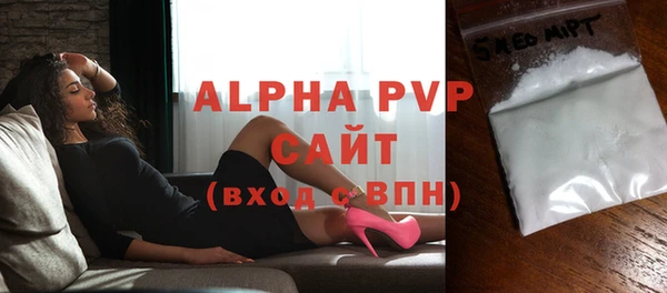 индика Елабуга