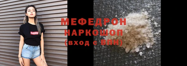 индика Елабуга