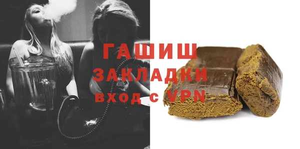 индика Елабуга
