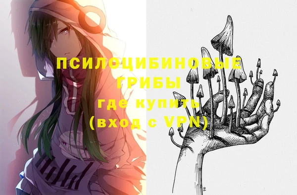 индика Елабуга