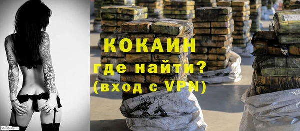 индика Елабуга