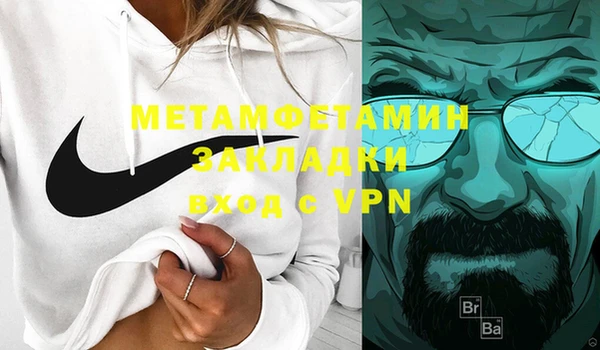 индика Елабуга