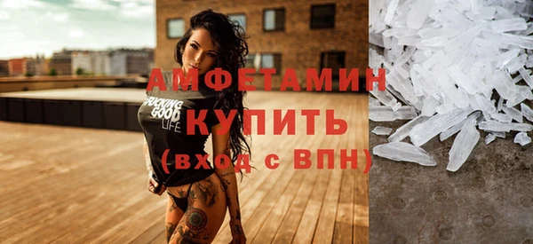 индика Елабуга