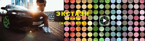 индика Елабуга