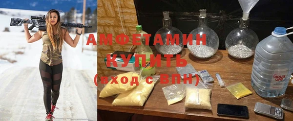 индика Елабуга